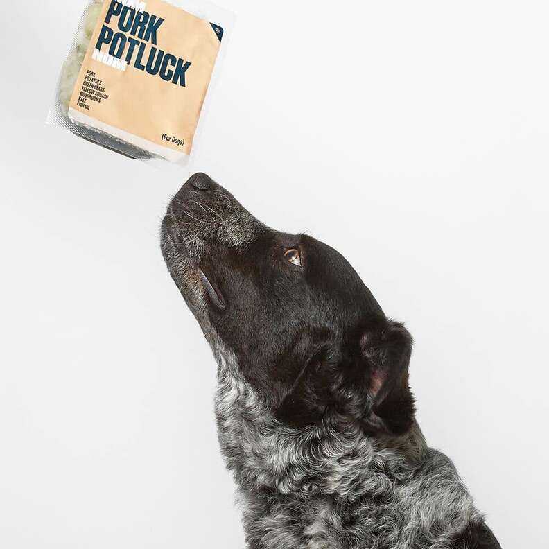 dog food subscriptions