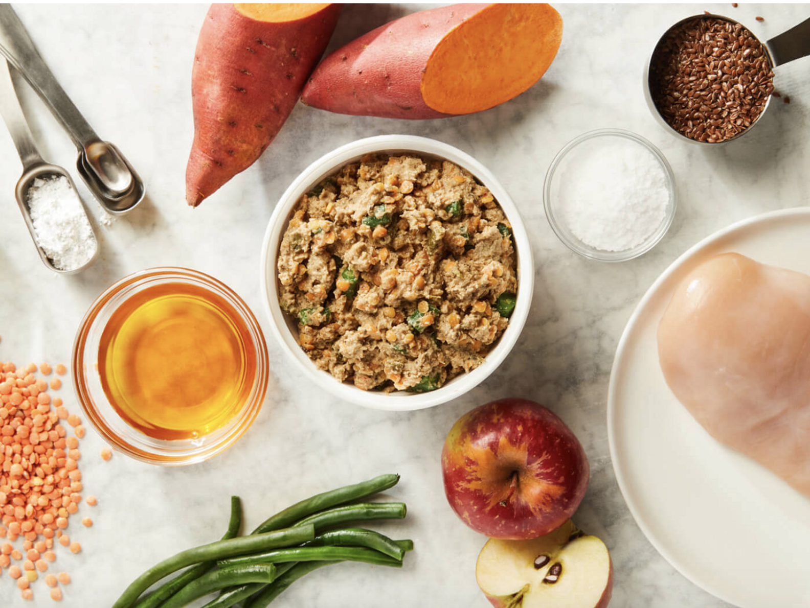 11 Best Dog Food Delivery Subscriptions For Pet Parents DodoWell The Dodo