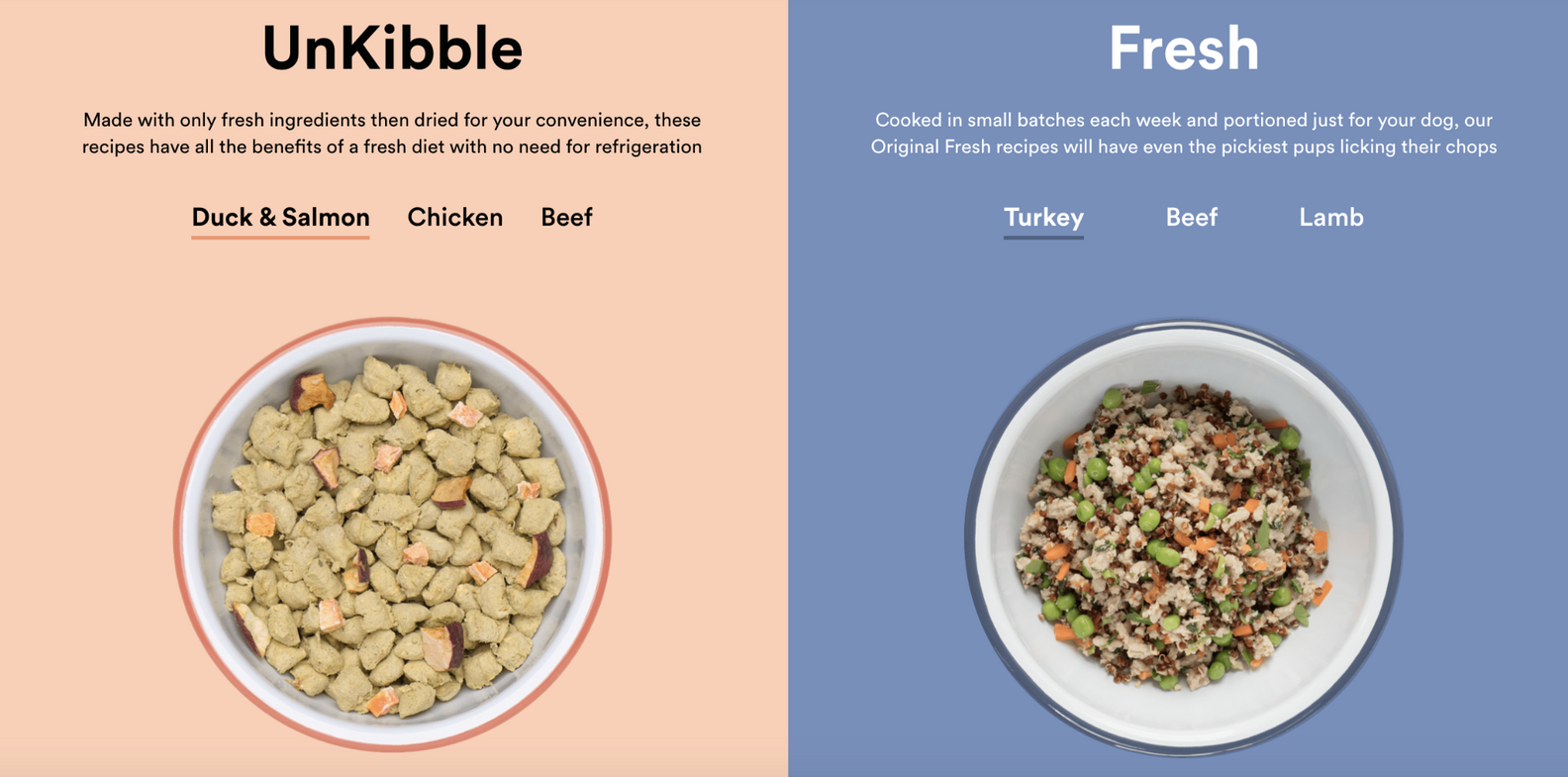 11 Best Dog Food Delivery Subscriptions For Pet Parents DodoWell The Dodo