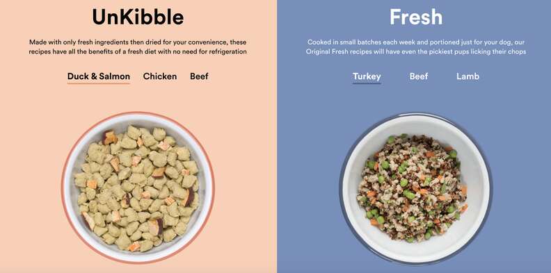 dog food subscriptions