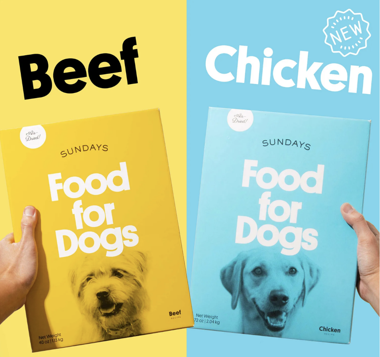 11 Best Dog Food Delivery Subscriptions For Pet Parents DodoWell The Dodo