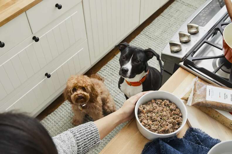 Dog food after delivery sale