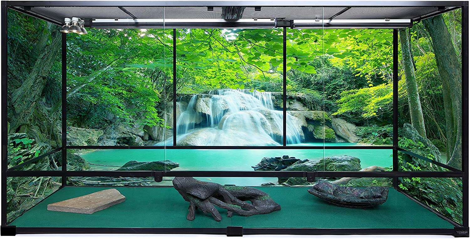 Bearded dragon custom 2024 tank