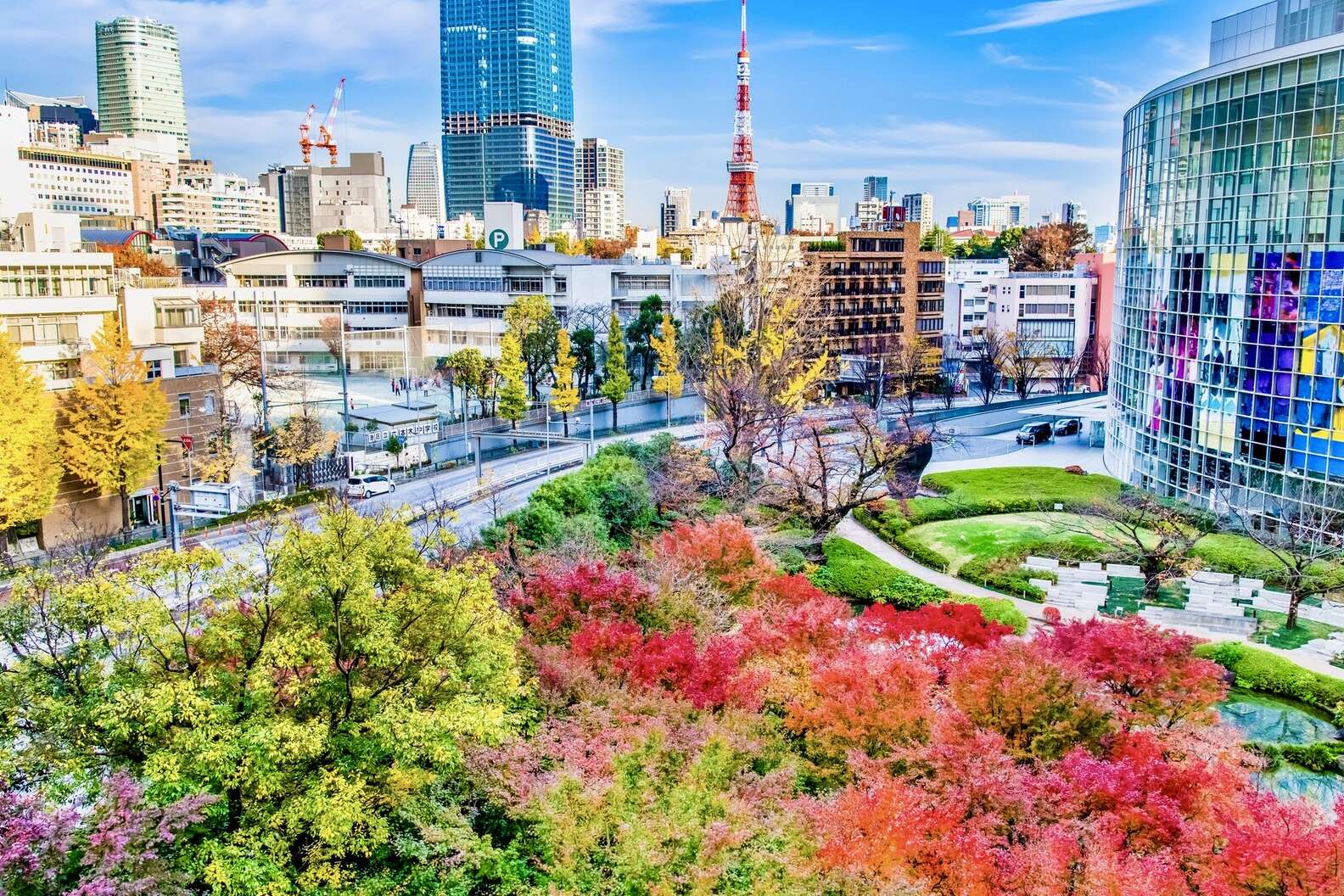 Tokyo Travel Guide: Everything to See, Eat, and Do on Your Trip - Thrillist