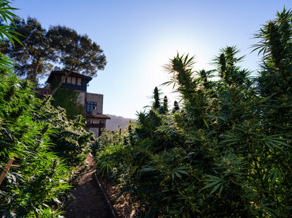 Sugar Hill Farm by The Bohemian Chemist