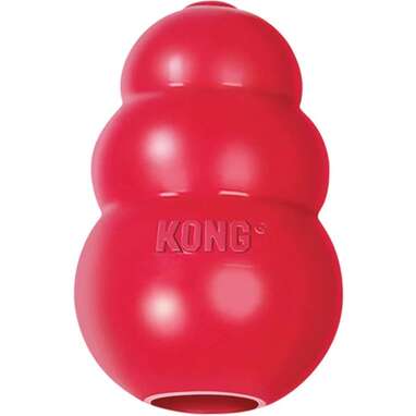 For the dogs who play rough: KONG Classic