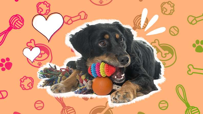 All kind dog toys best sale