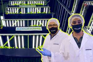 Can Vertical Farming Save the Planet?