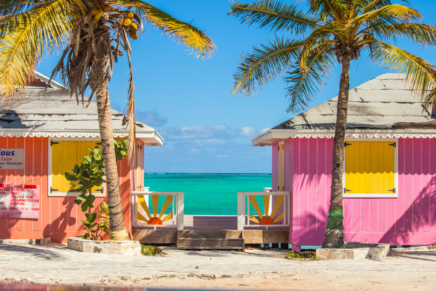 Key West Conch Houses, Bicycles, Palm Trees on Lime Green Dog Collar