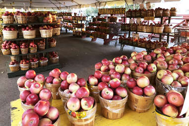 Golden Harvest Farms