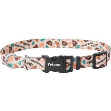 Frisco patterned hotsell dog collar