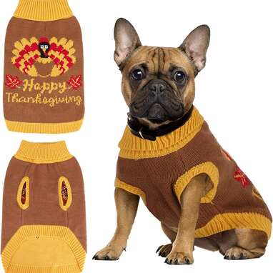 Thanksgiving hot sale dog clothes