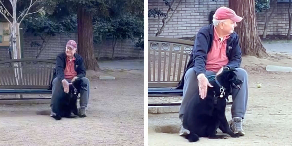Une femme retrouve son chien “perdu” en train de câliner avec un inconnu au parc