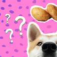 Can Dogs Eat Potatoes