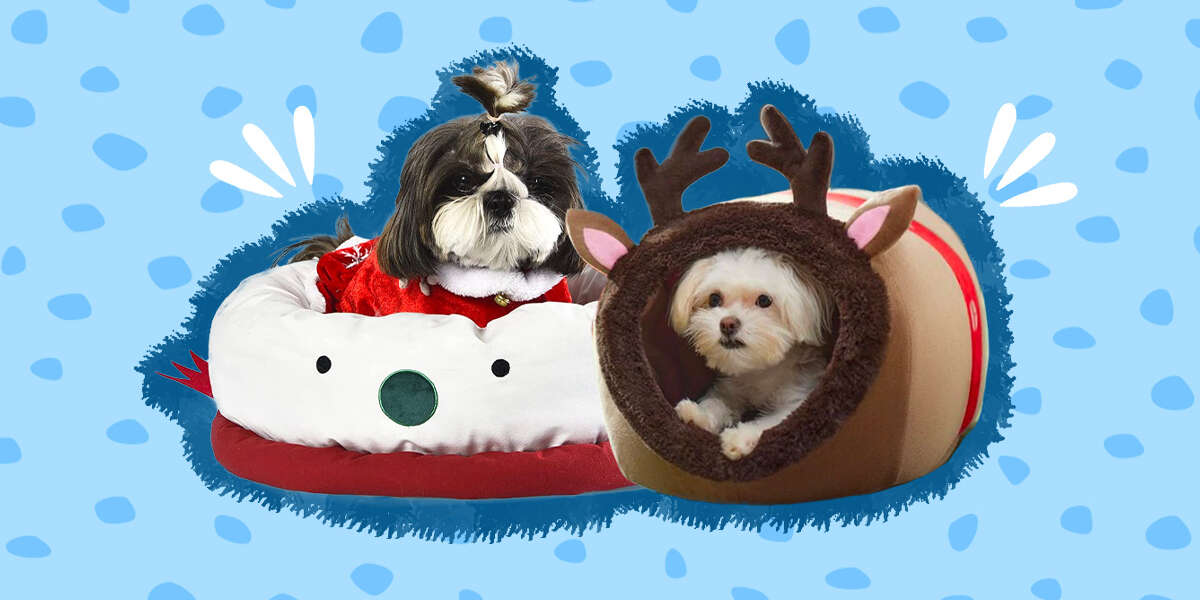 Christmas Dog Bed 7 Festive Options You Can Get Your BFF DodoWell