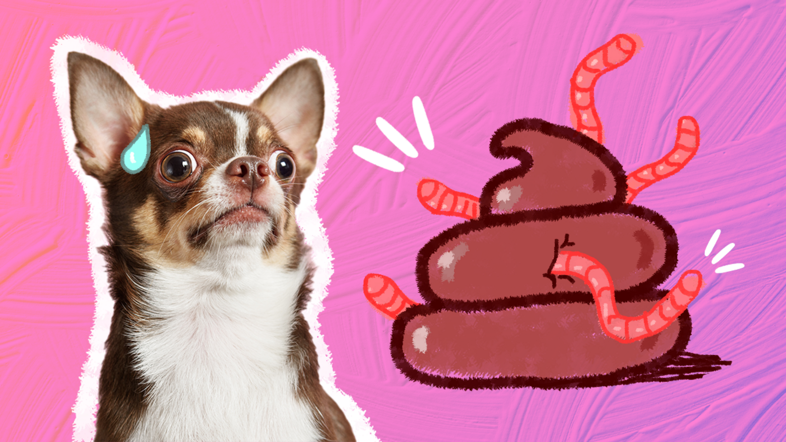 Worms In Dog Poop Everything You Need To Know, According To A