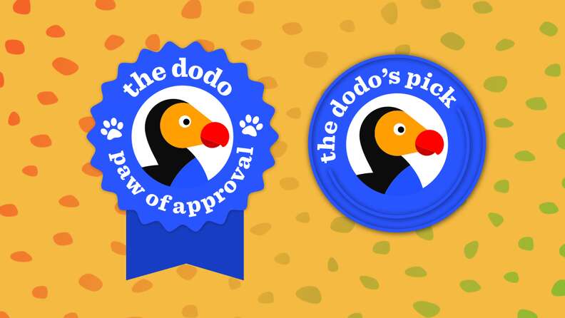 The Dodo’s Pick and Paw of Approval badges