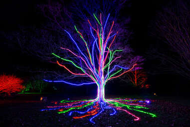 Lightscape Is Comin Back to the Brooklyn Botanic Garden This Winter ...