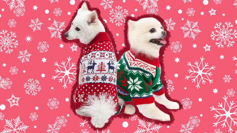 Dog themed 2025 christmas sweaters