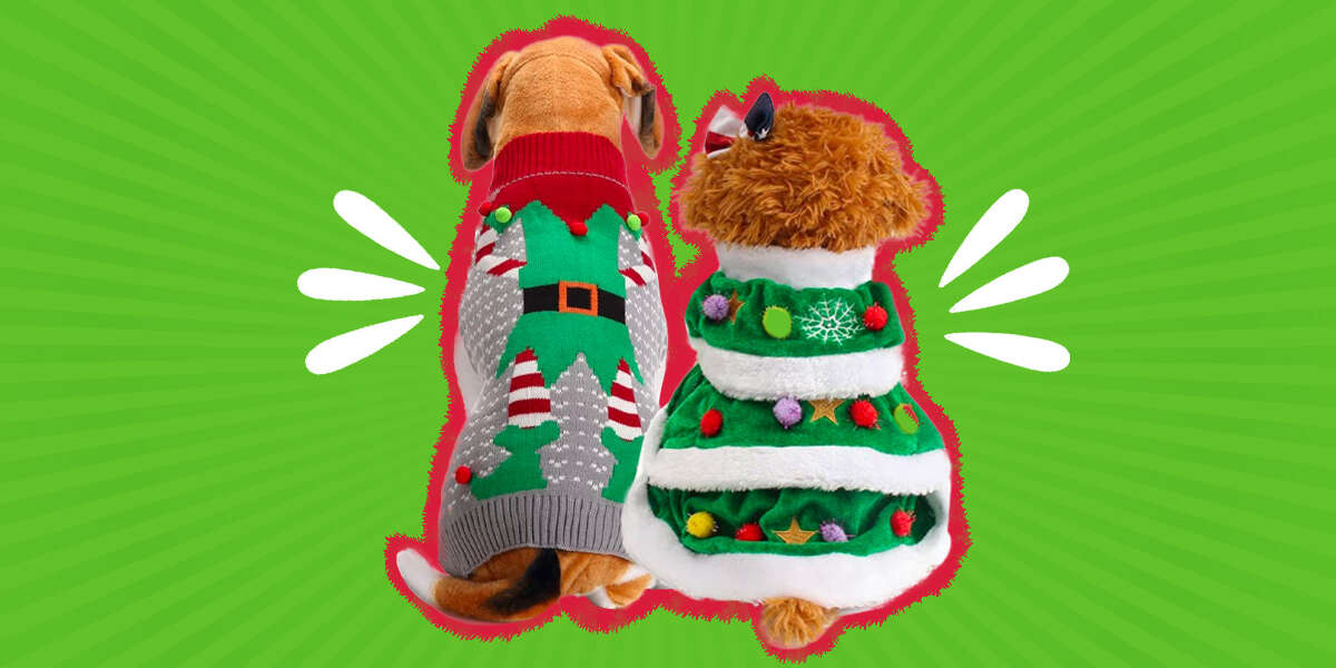 Dog Ugly Christmas Sweater 8 Options That’ll Turn Heads This Holiday