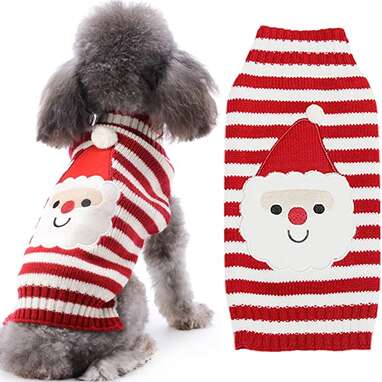 A silly Santa sweater: DOGGYZSTYLE Dog Christmas Sweater