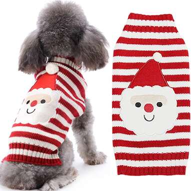 Dog Ugly Christmas Sweater: 8 Options That’ll Turn Heads This Holiday ...