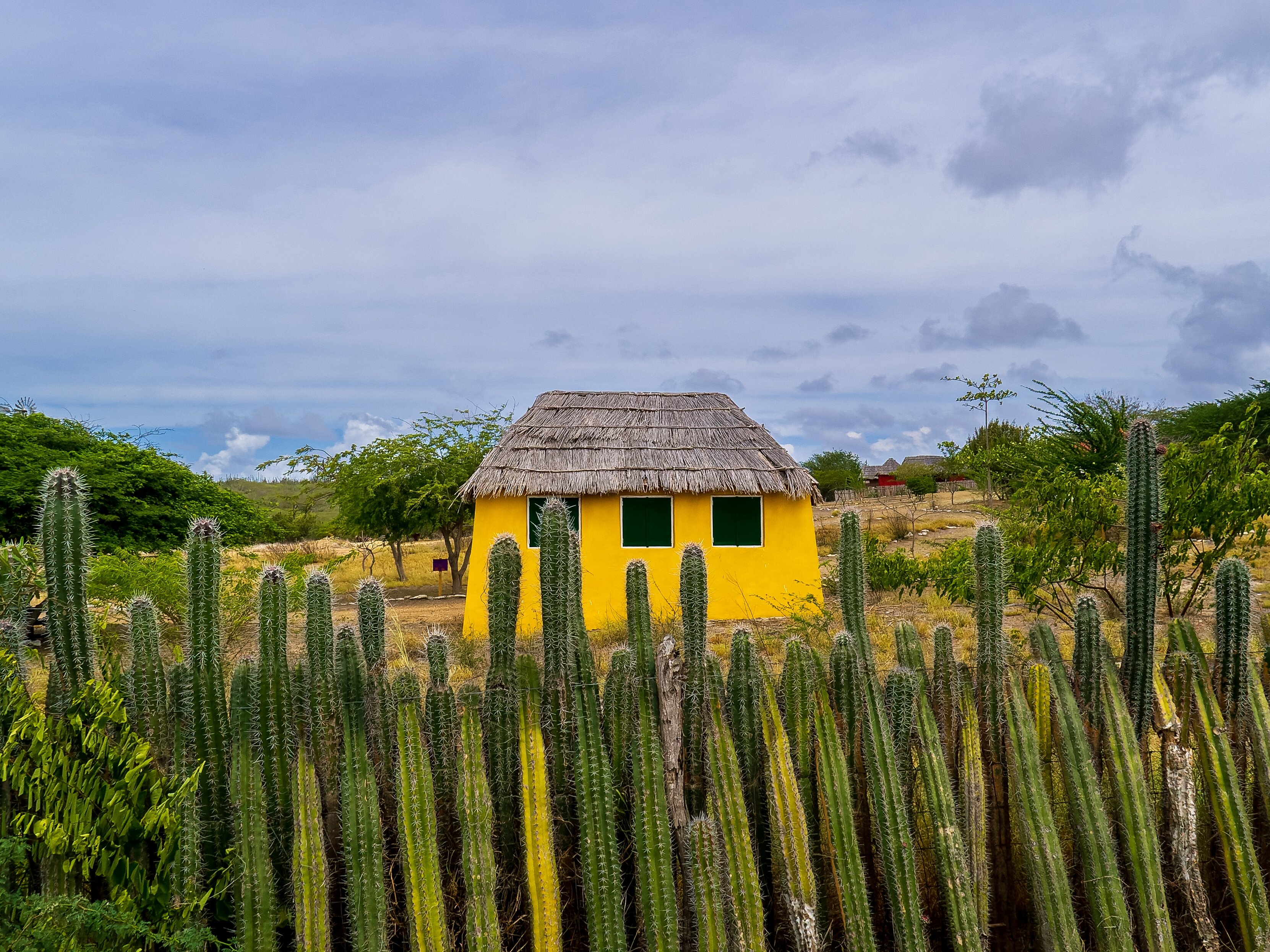 Headed to Bonaire? Make This Cultural Center Your First Stop