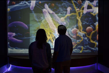 Museum of Science, Boston