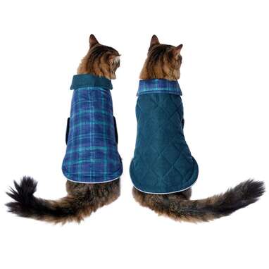 Cat Jacket: 7 Of The Best Coats You Can Buy For Your Cat - DodoWell - The  Dodo