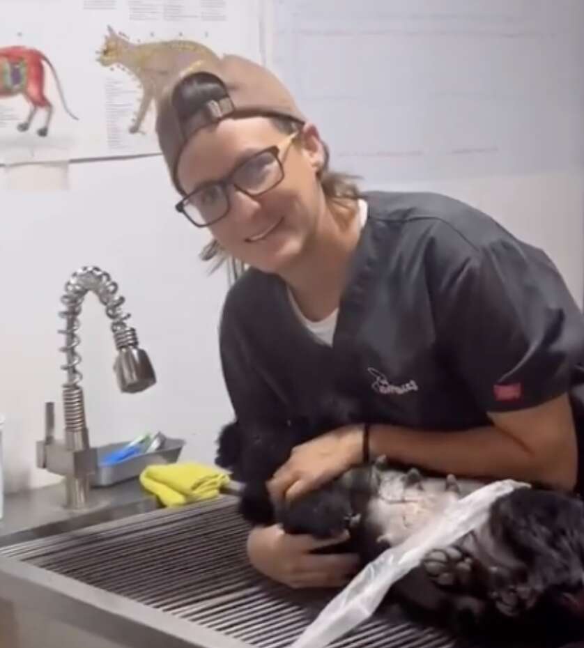 veterinarian and dog