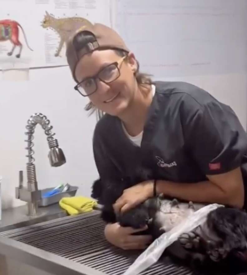 veterinarian and dog