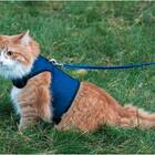 KITTY HOLSTER Cat Harness