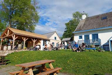 people sitting on grass