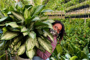 Afro Latina Entrepreneur Turned Her Small Plant Shop Into So Much More