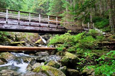 a bridge over forest creek