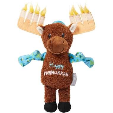 Hanukkah Dog Toys 16 Gifts Your Dog Will Love During The Festival Of Lights DodoWell The Dodo