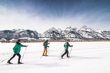 people skiing