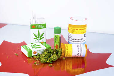 variety of cannabis 
