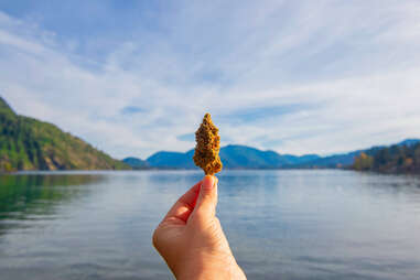 Hand holding dried cannabis in front of lake