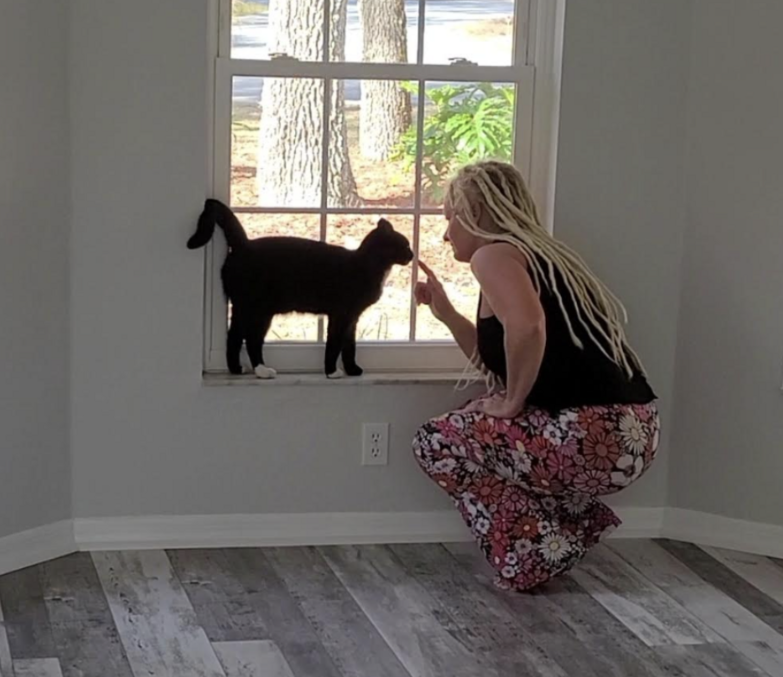 Mysterious Cat Starts Visiting Couple When They Need It Most - The Dodo