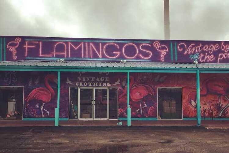 Flamingos Vintage Pound