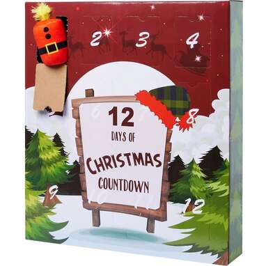 He’ll love these toys: Frisco Holiday 12 Days of Christmas Cardboard Advent Calendar with Toys for Dogs