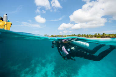 Utila, Honduras scuba diver