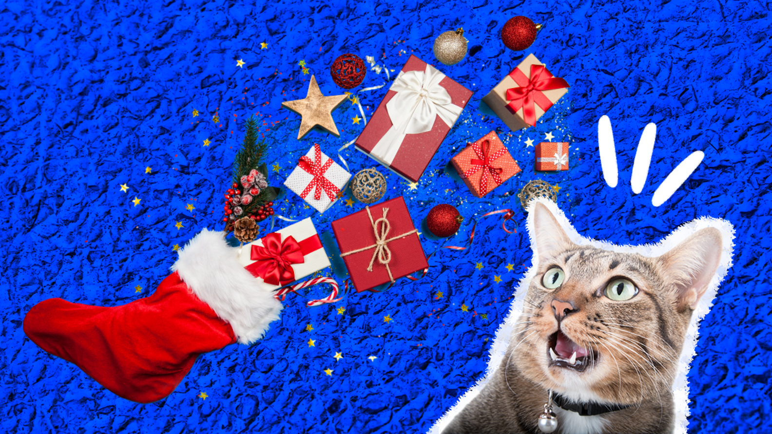 8 Christmas Cat Toys To Put Under The Tree - DodoWell - The Dodo