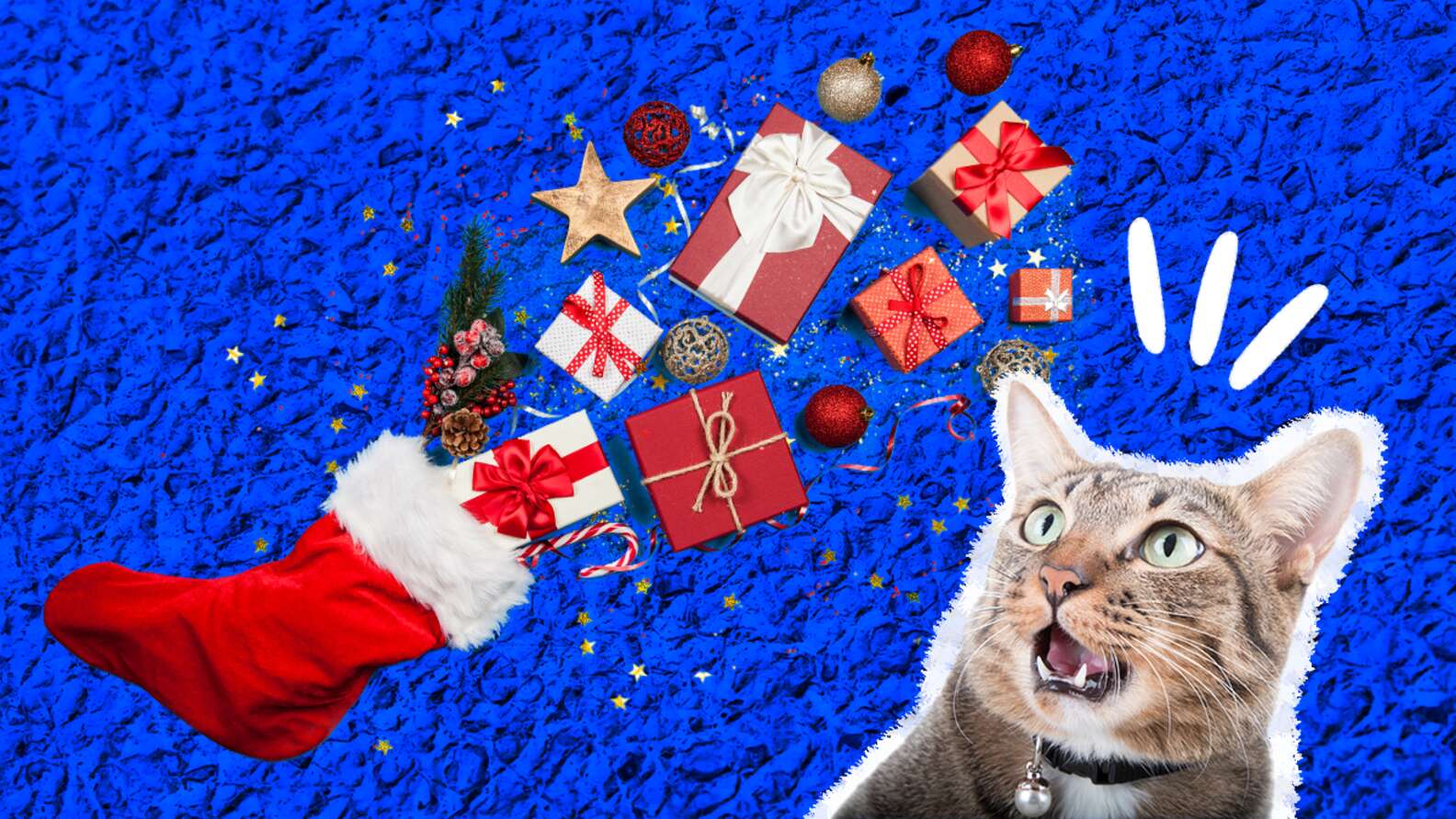 8 Christmas Cat Toys To Put Under The Tree - DodoWell - The Dodo