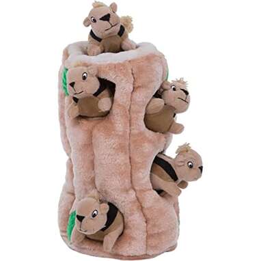 Six toys in one: Outward Hound Hide-A-Squirrel Squeaky Puzzle Plush Dog Toy