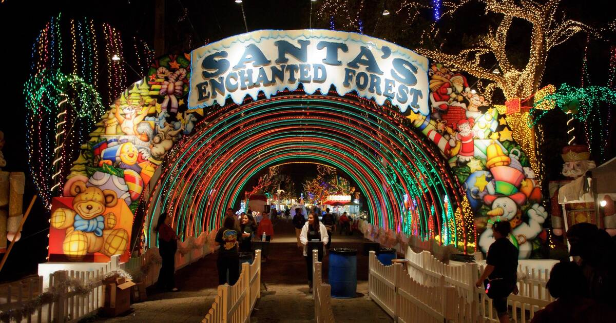 Where to See Christmas Lights in Miami 2023 - PureWow