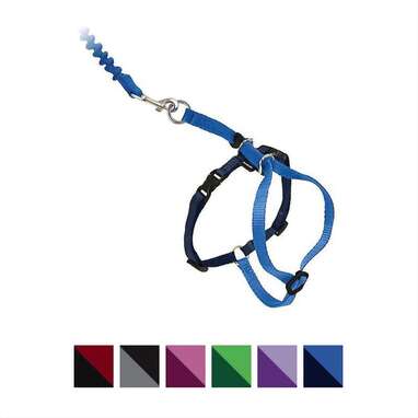 Best bungee leash: PetSafe Come With Me Kitty Nylon Cat Bungee Leash