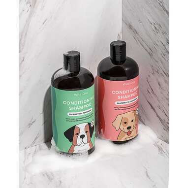 To keep your pup feeling fresh: Grooming Kit