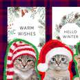 Cute And Funny Cat Christmas Cards To Send To Your Friends And Family